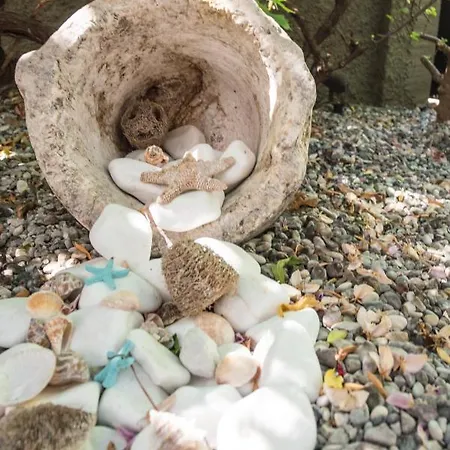 Apartment Casa Dina *