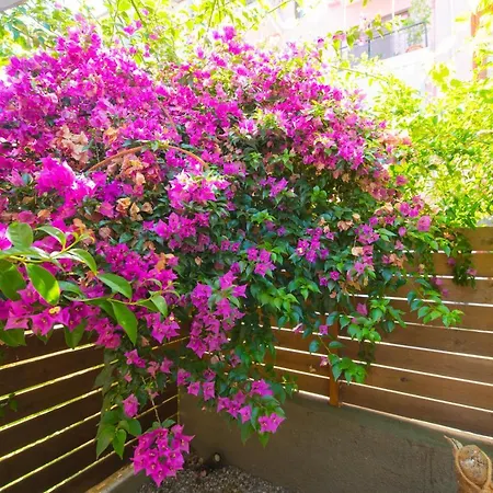 Apartamento Casa Dina Lefkáda