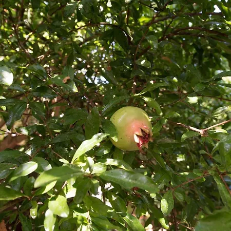 Apartamento Casa Dina