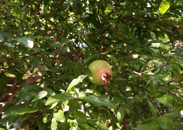 Appartement Casa Dina