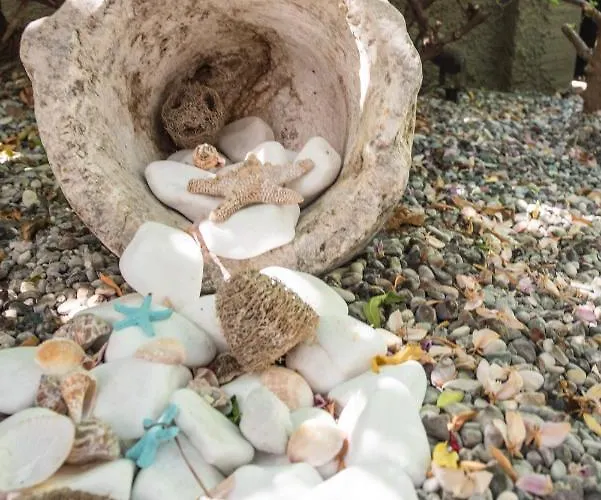 Appartement Casa Dina *