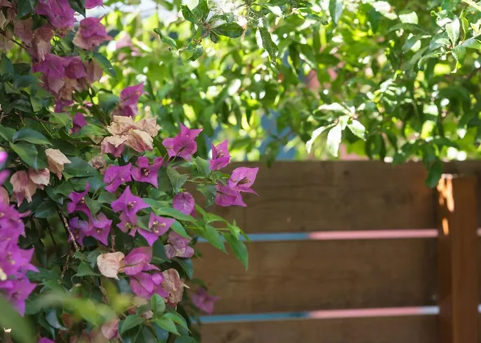 Appartement Casa Dina