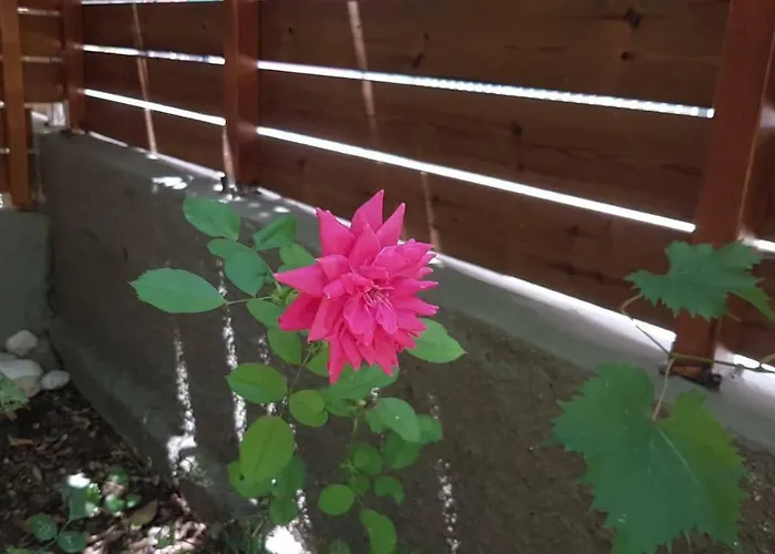 Appartement Casa Dina Lefkáda